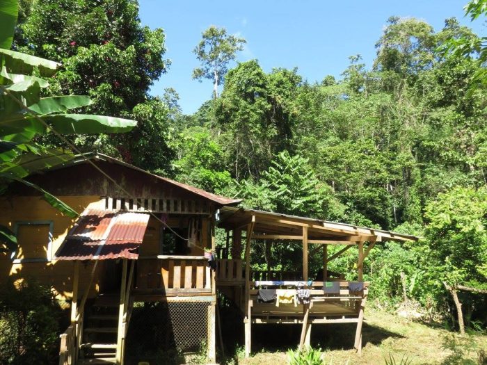 Buena Vista Costa Rica