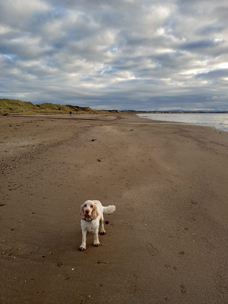 Troon Scotland