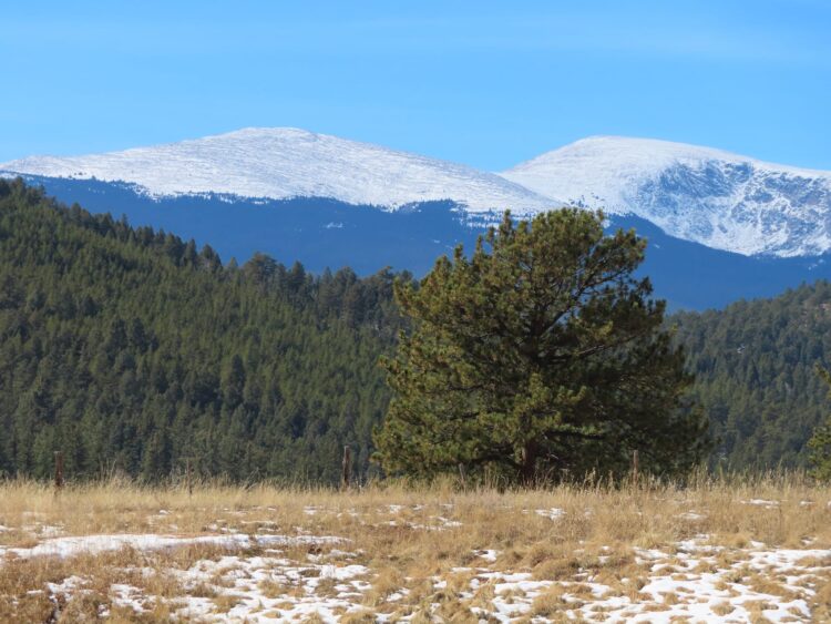 Pine Junction, Colorado, USA