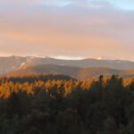 Pine Junction, Colorado