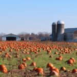 Columbus, New Jersey, USA