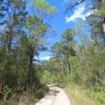 South Carolina, USA