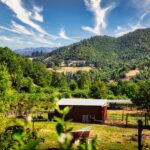 Pacific Northwest, USA (Photo by David Boozer)