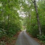 Fairview, North Carolina