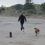 Paekakariki, New Zealand