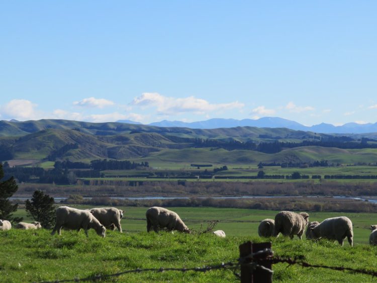 Cheviot New Zealand