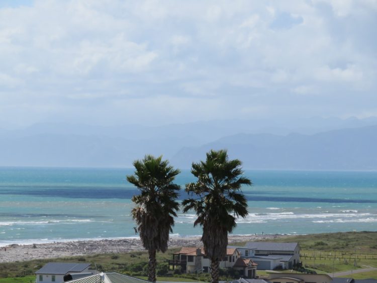 Opotiki New Zealand