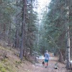 Pine Junction, Colorado, USA