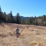 Pine Junction Colorado USA