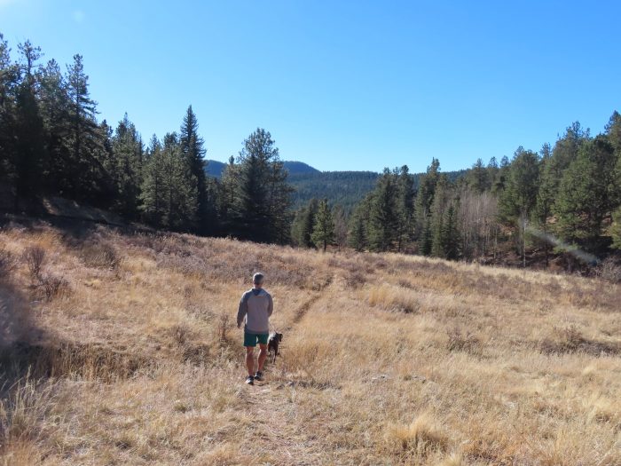 Pine Junction Colorado USA