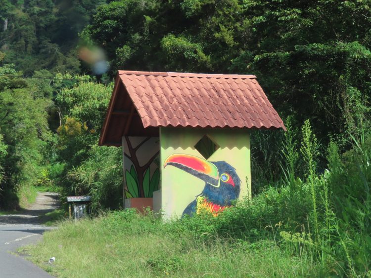 Boquete Panama