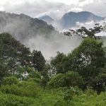 Nueva California Panama