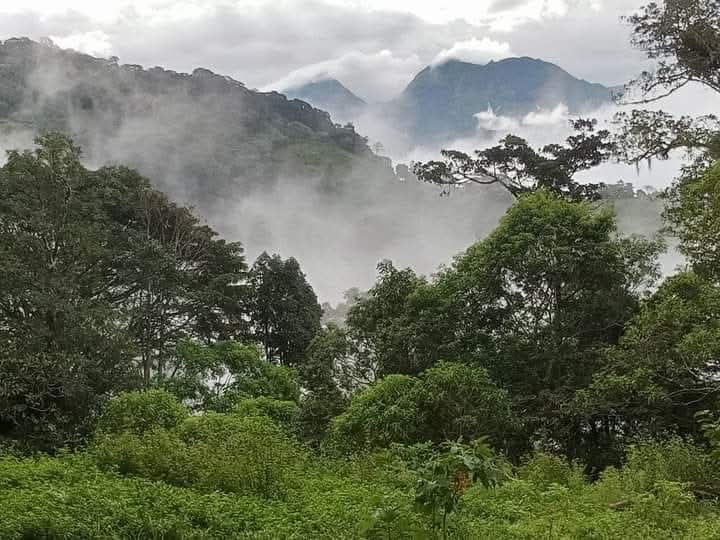 Nueva California Panama