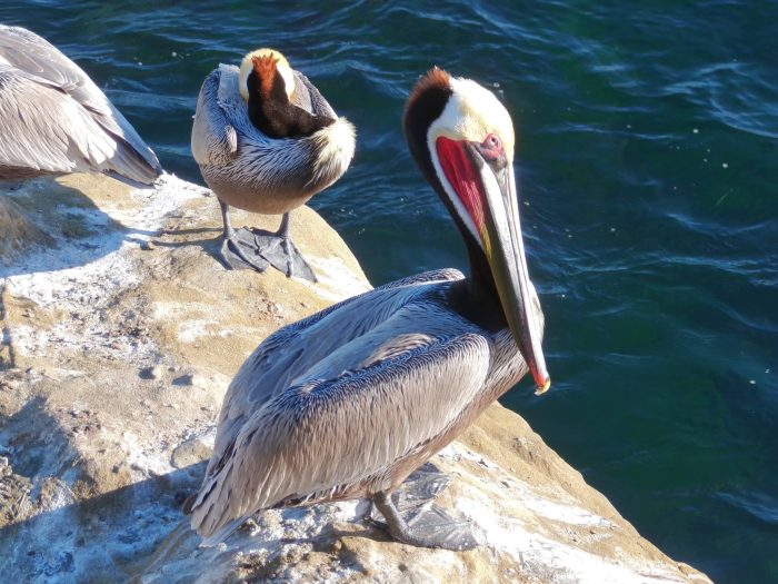 San Diego California USA