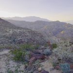 Palm Desert California USA