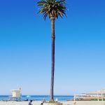 Encinitas California USA