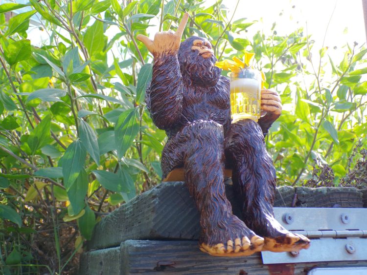 Encinitas California USA