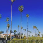 Venice California USA