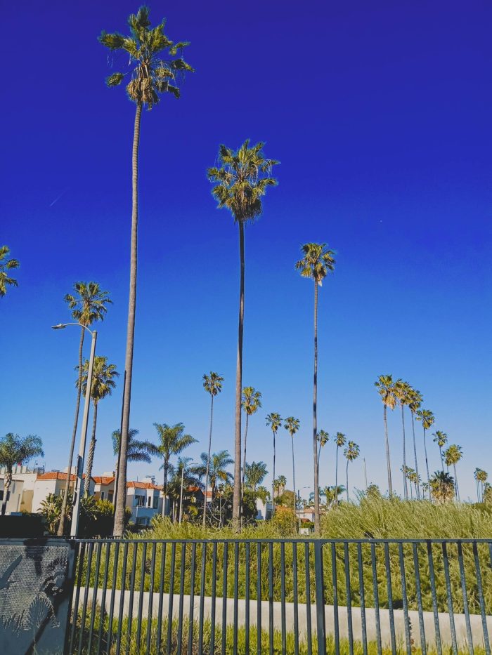 Venice California USA