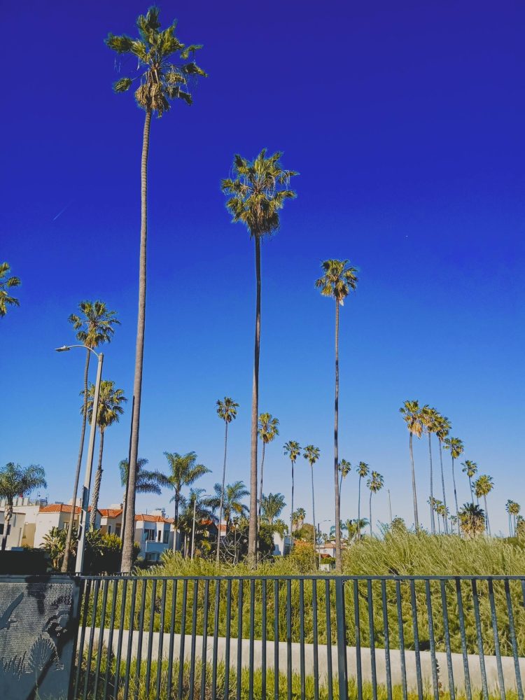 Venice California USA