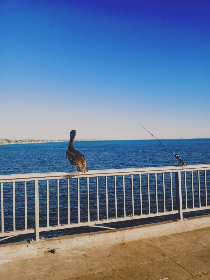 Long Beach California USA