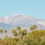 Palm Spring California USA