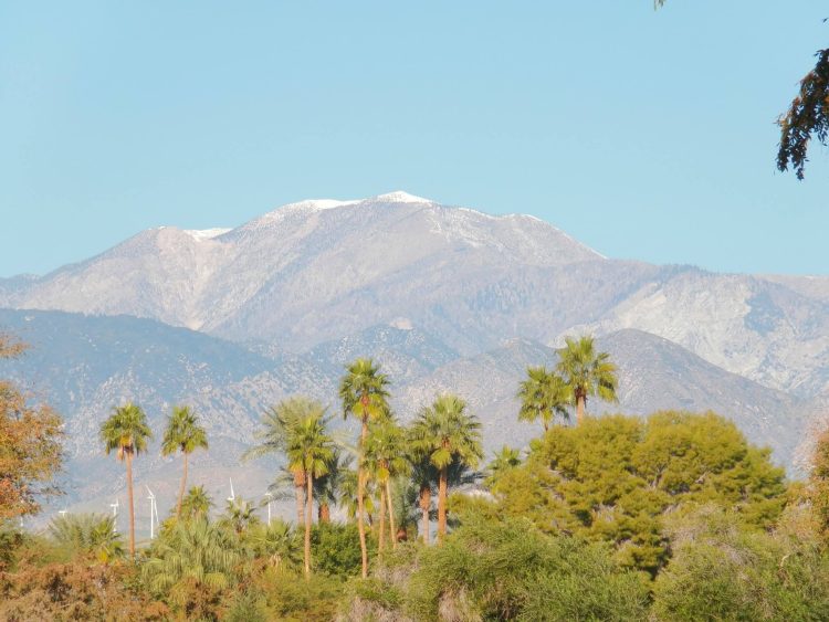 Palm Spring California USA