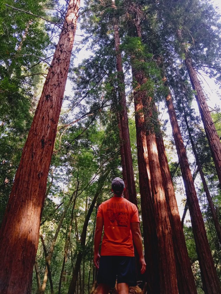 Woodside California USA