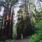 Woodside California USA