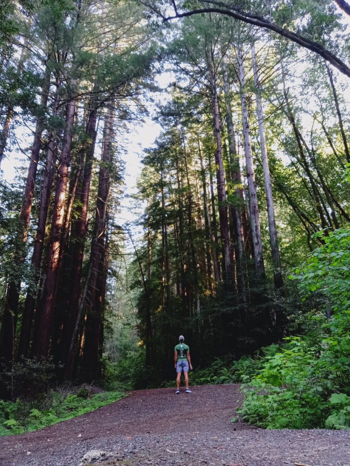 Woodside California USA