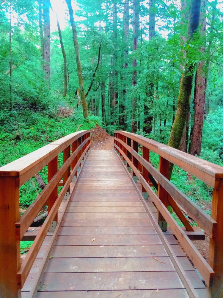 Golden Gate National Recreation Area California USA