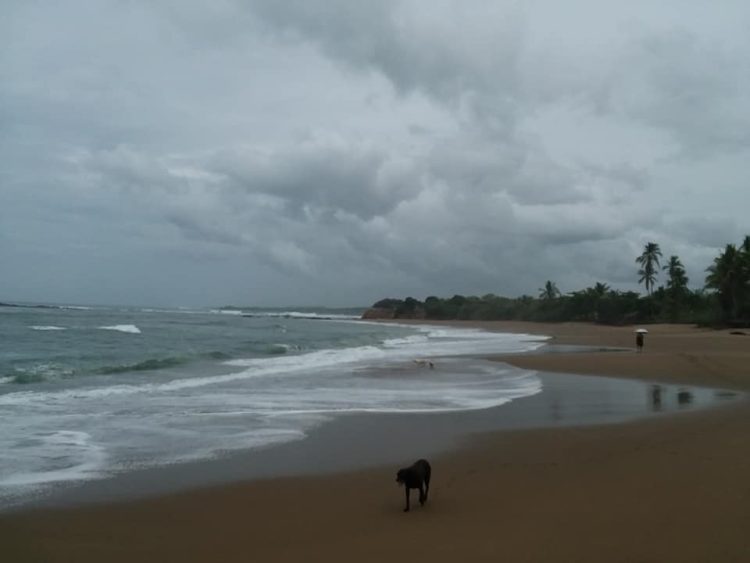 Pedasi Panama