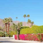 Palm Springs California USA