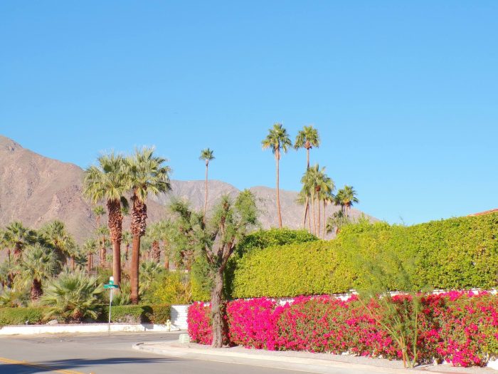 Palm Springs California USA