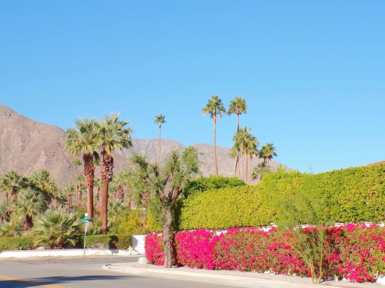 Palm Springs California USA