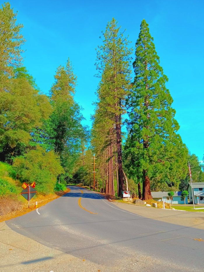 River Pines California USA