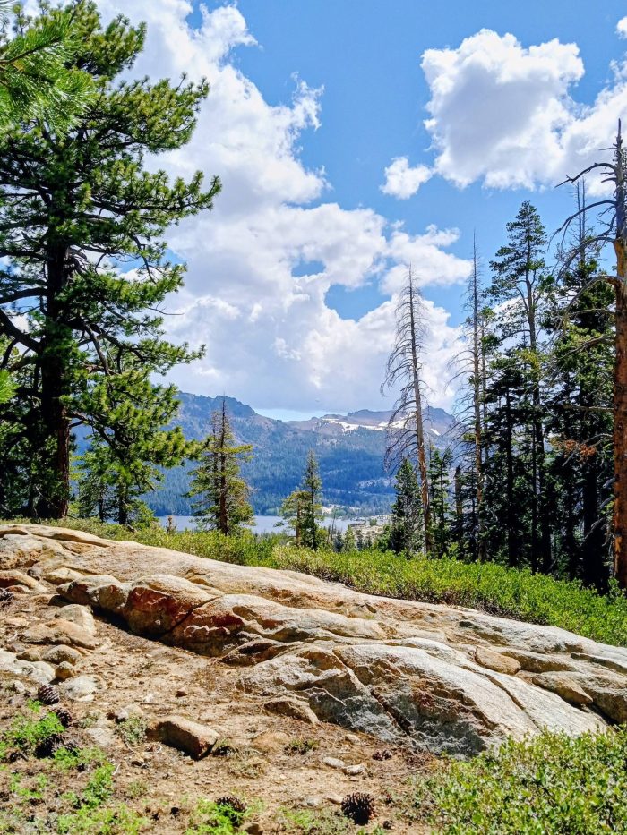 Shealor Lake Trail Head Sierra Nevada Mountains California