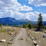 Shealor Lake Trail Head Sierra Nevada Mountains California