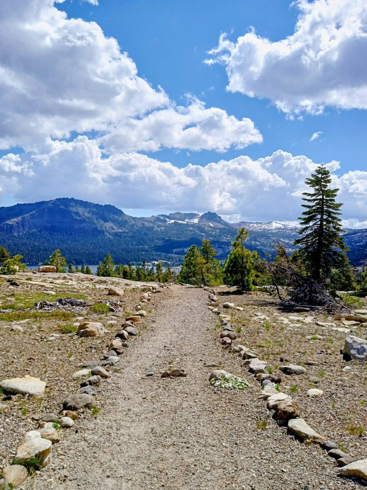 Shealor Lake Trail Head Sierra Nevada Mountains California