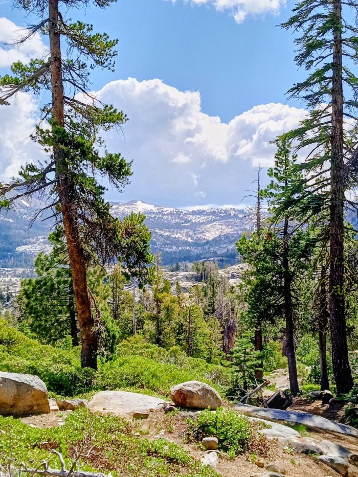 Shealor Lake Trail Head Sierra Nevada Mountains California