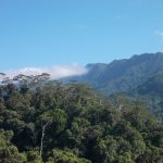 Savusavu Fiji
