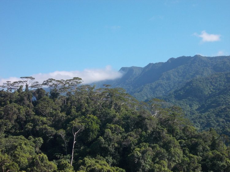 Savusavu Fiji