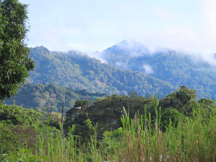 Boquete Panama