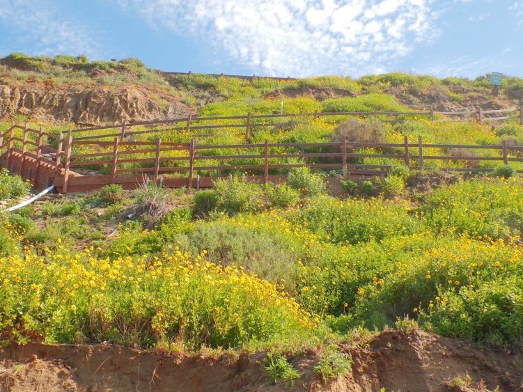 Encinitas California