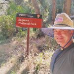Sequoia National Park Three Rivers California USA