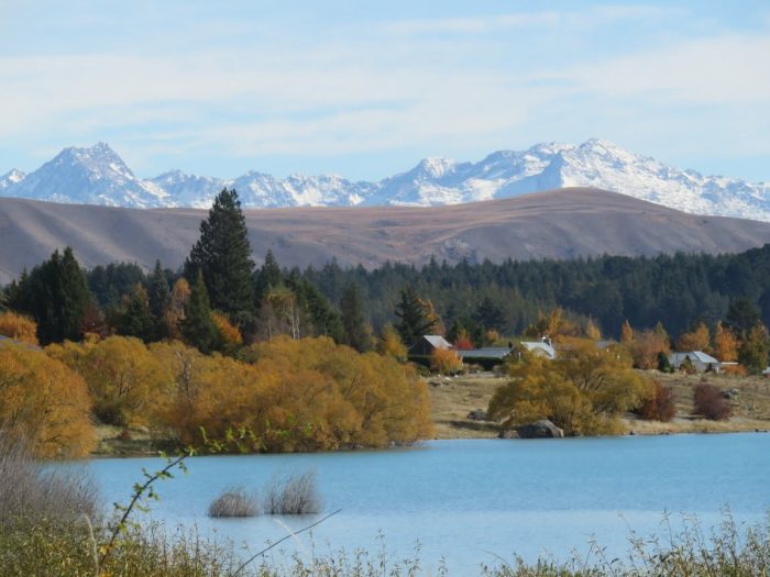 Lake Tekapo New Zealand