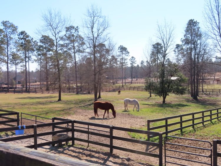 Aiken South Carolina