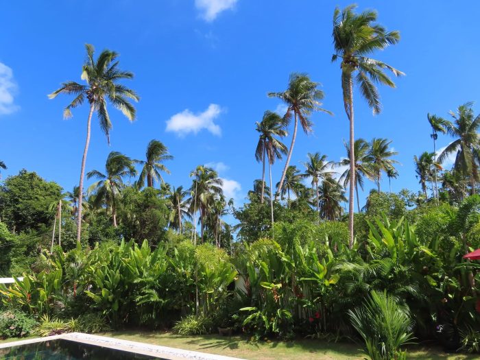Koh Samui Thailand