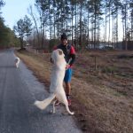 Pomaria South Carolina
