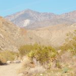 Desert Hot Springs California